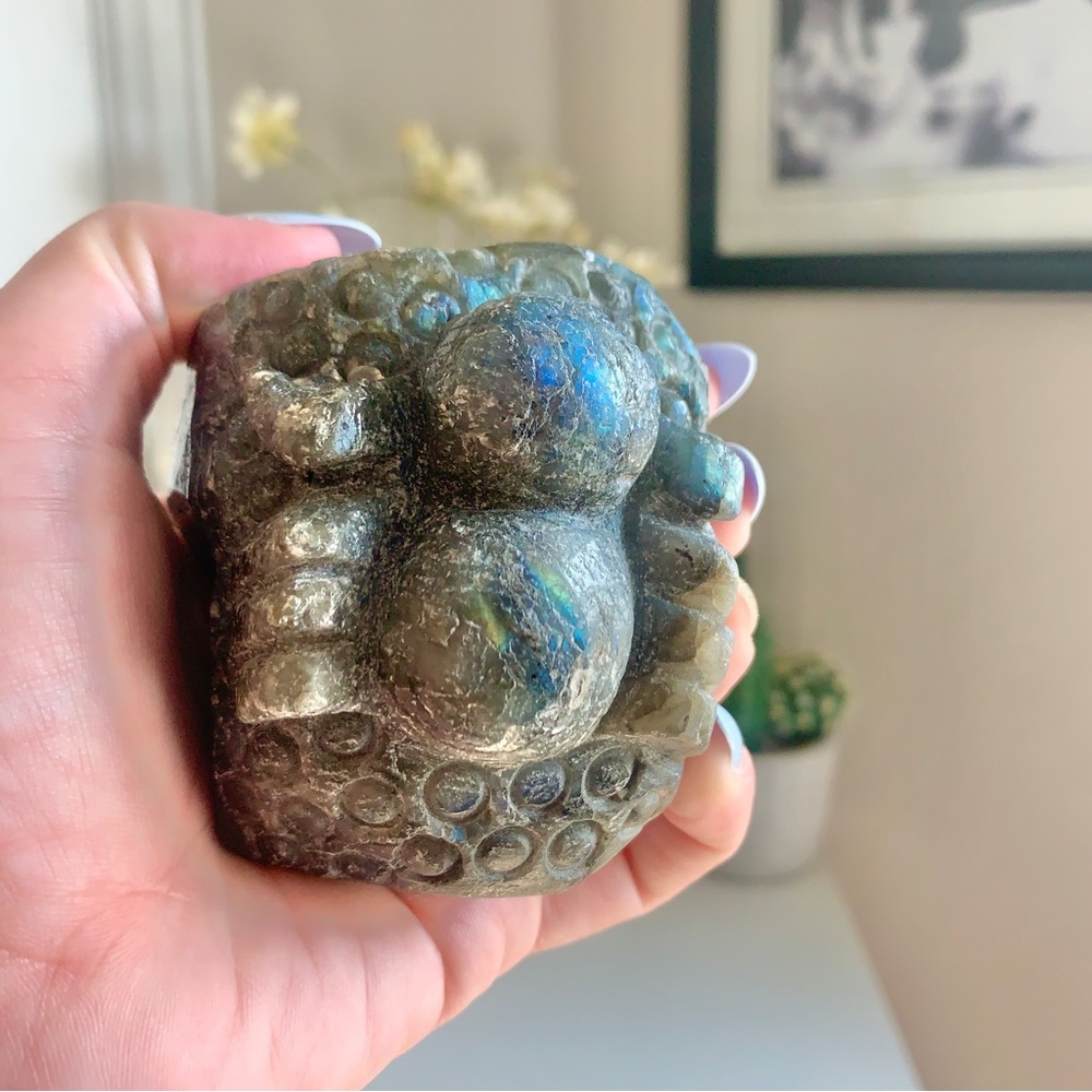 Rainbow Flash - Labradorite - The Resting Friendly Spider freeform carving